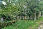 Kuca, Buzet, prodaja, 99000 €, 200 m2