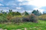 Zemljiste, Poreč, prodaja, 250000 €, 12232 m2