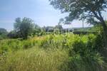 Zemljiste, Barban, prodaja, 29000 €, 589 m2