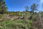 Zemljiste, Barban, prodaja, 29000 €, 589 m2
