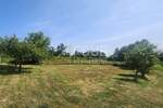 Zemljiste, Barban, prodaja, 29000 €, 600 m2
