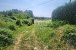 Zemljiste, Barban, prodaja, 29000 €, 600 m2