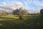 Zemljiste, Fažana, prodaja, 215000 €, 0 m2