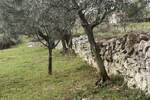 Zemljiste, Fažana, prodaja, 215000 €, 0 m2