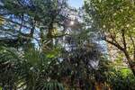 Dvosoban stan, Rijeka, Rastočine, prodaja, 210000 €, 52 m2