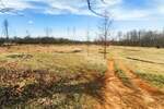 Zemljiste, Žminj, prodaja, 111000 €, 1517 m2