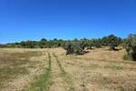 Zemljiste, Medulin, Pomer, prodaja, 323000 €, 742 m2