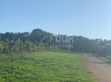 Zemljiste, Pazin, Kršikla, prodaja, 450000 €, 45000 m2