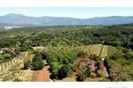 Zemljiste, Labin, Breg, prodaja, 125000 €, 9218 m2