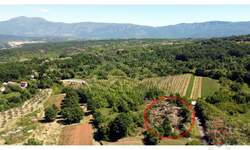 Zemljiste, Labin, Breg, prodaja, 125000 €, 9218 m2