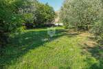 Zemljiste, Buje, prodaja, 120000 €, 307 m2