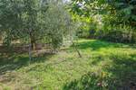 Zemljiste, Buje, prodaja, 120000 €, 307 m2