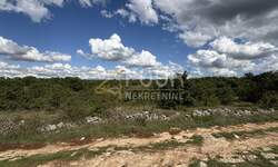 Zemljiste, Svetvinčenat, prodaja, 19000 €, 2913 m2