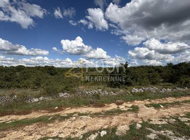 Zemljiste, Svetvinčenat, prodaja, 19000 €, 2913 m2