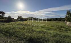 Zemljiste, Bale, Golaš, prodaja, 300000 €, 2403 m2