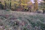 Zemljiste, Grožnjan, prodaja, 420000 €, 3092 m2