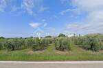 Zemljiste, Tar-Vabriga, Tar, prodaja, 800000 €, 3500 m2