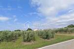 Zemljiste, Tar-Vabriga, Tar, prodaja, 800000 €, 3500 m2