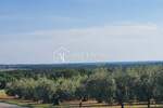 Zemljiste, Tar-Vabriga, Tar, prodaja, 800000 €, 3500 m2