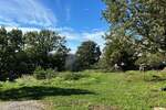 Zemljiste, Buzet, prodaja, 50000 €, 0 m2