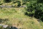 Zemljiste, Kastav, Brnčići, prodaja, 233000 €, 5250 m2