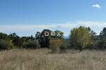 Zemljiste, Marčana, Peruški, prodaja, 85000 €, 599 m2