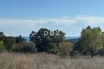 Zemljiste, Marčana, Peruški, prodaja, 85000 €, 599 m2