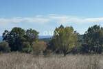 Zemljiste, Marčana, Peruški, prodaja, 85000 €, 599 m2