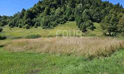 Zemljiste, Delnice, Crni Lug, prodaja, 109000 €, 2219 m2