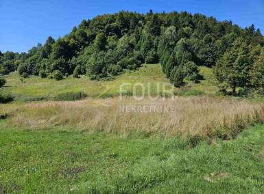 Zemljiste, Delnice, Crni Lug, prodaja, 109000 €, 2219 m2