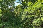 Zemljiste, Ravna Gora, Stari Laz, prodaja, 60000 €, 766 m2