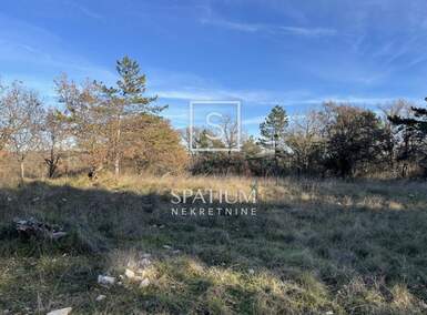 Zemljiste, Buje, prodaja, 220000 €, 1019 m2