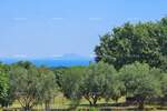 Zemljiste, Marčana, prodaja, 140000 €, 0 m2
