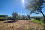 Zemljiste, Barban, prodaja, 29000 €, 655 m2