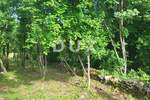 Zemljiste, Barban, prodaja, 90000 €, 3445 m2