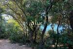 Kuca, Pula, Centar, prodaja, 550000 €, 1745 m2