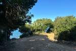 Kuca, Pula, Centar, prodaja, 550000 €, 1745 m2