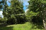 Zemljiste, Pazin, Lindar, prodaja, 75000 €, 1105 m2