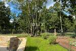 Kuca, Pazin, Lindar, prodaja, 885000 €, 180 m2