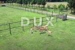 Zemljiste, Našice, prodaja, 186000 €, 10213 m2