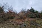Zemljiste, Labin, prodaja, 140000 €, 21834 m2