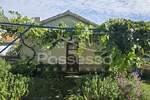Kuca, Buzet, prodaja, 37000 €, 78 m2