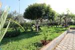 Kuca, Umag, Finida, prodaja, 499900 €, 249 m2