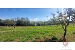 Zemljiste, Višnjan, Babudri, prodaja, 125000 €, 3006 m2