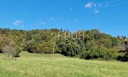 Zemljiste, Čavle, prodaja, 290000 €, 5486 m2