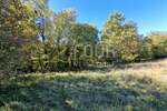 Zemljiste, Čavle, prodaja, 290000 €, 5486 m2