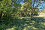 Zemljiste, Čavle, prodaja, 290000 €, 5486 m2