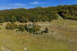 Zemljiste, Čavle, Platak, prodaja, 675000 €, 6349 m2