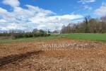 Zemljiste, Barban, prodaja, 65000 €, 11669 m2