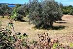 Zemljiste, Fažana, prodaja, 229000 €, 0 m2